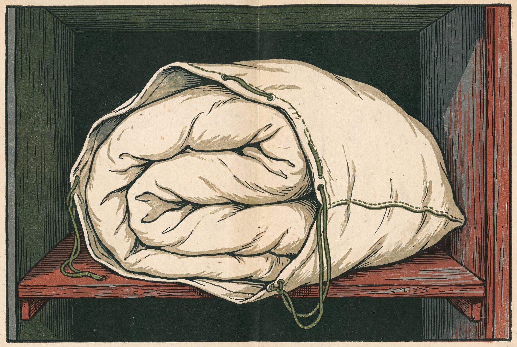 A loosely folded wool duvet resting inside an open cotton storage bag on a closet shelf, kept out of the light while the other duvet is in use on the bed.